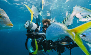 Musandam-scuba-diving