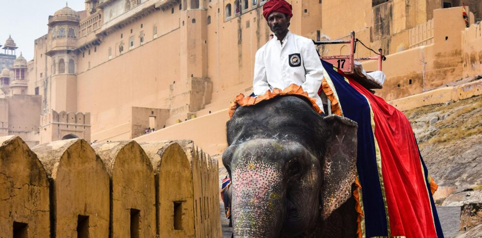 An Indian man riding an elephant near Amber Fort in Jaipur, showcasing vibrant cultural heritage.