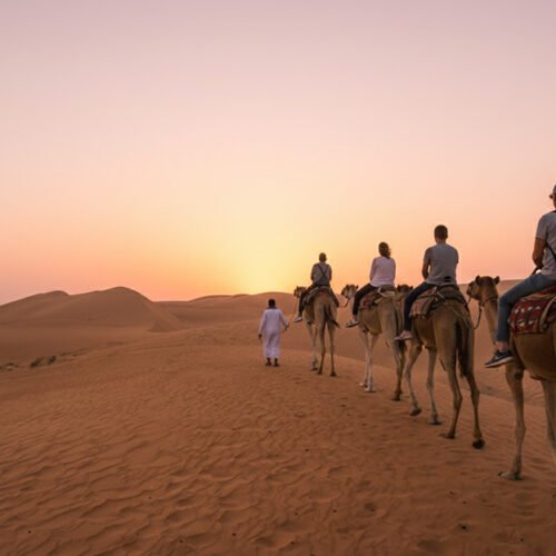Paseo en camello al atardecer