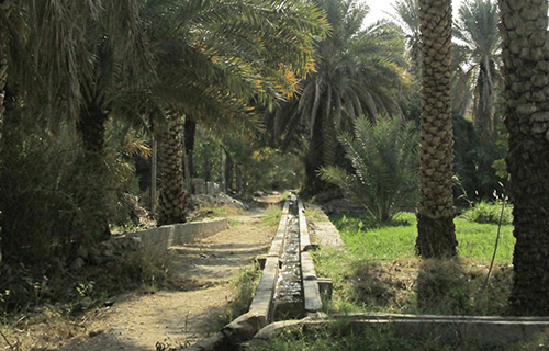 Experiencia cultural en Misfah