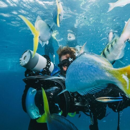 Buceo en Khasab (medio día, 3 horas)