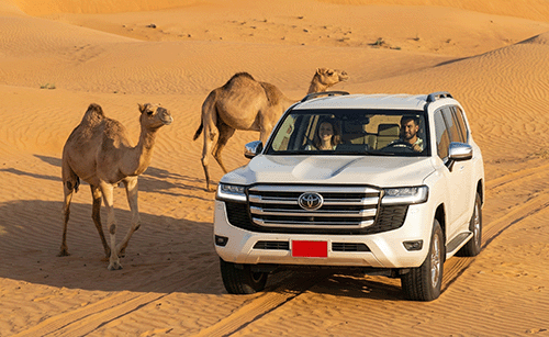 Itinerario di viaggio self-drive e fly & drive in Oman