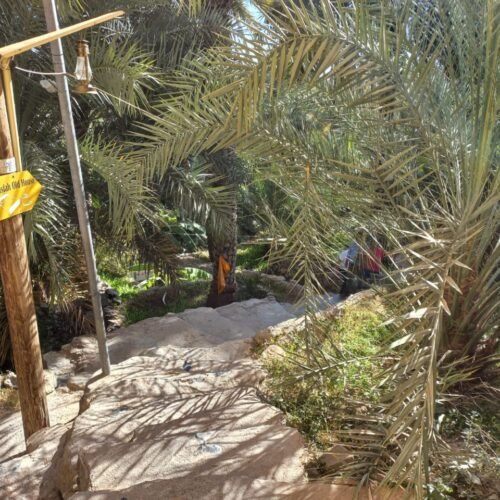 Misfah te Voet: Bergterrassen, Lemen Huizen en Falaj-Kanalen