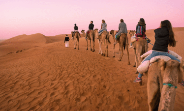 Camel trekking Wahiba Oman
