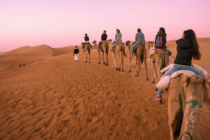 Camel trekking Wahiba Oman
