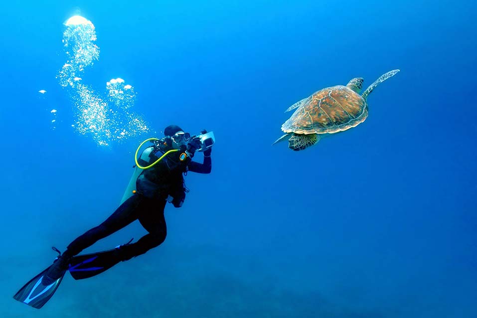 Daymaniyat Island Oman