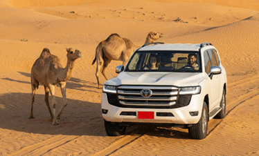 Discover Oman Self-Drive tour