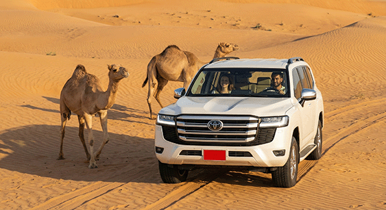 Discover Oman Self-Drive tour