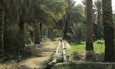 MIsfah Village Cultural Tour Oman