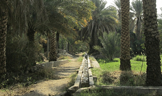 MIsfah Village Cultural Tour Oman