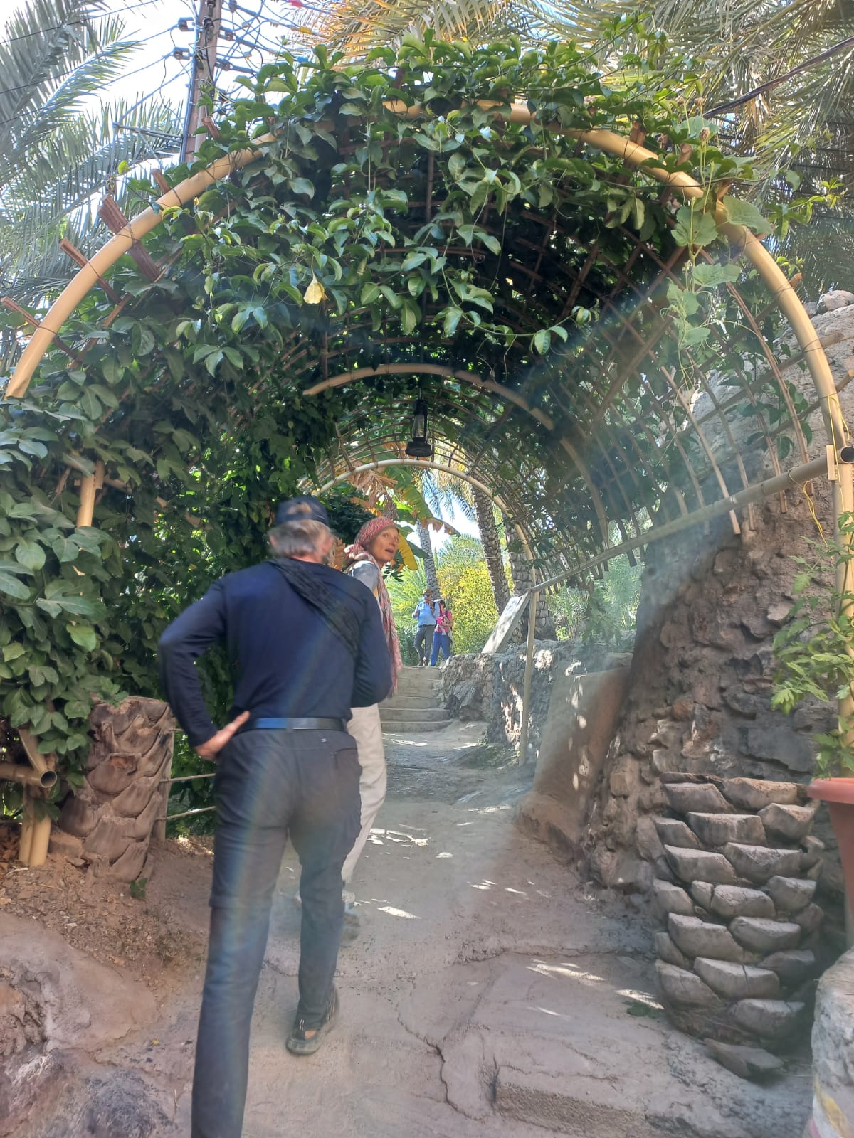 Misfah Agriculture Tour Oman