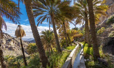 Misfat al Abriyyin Agriculture Tour Oman