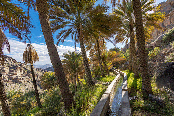 Misfat al Abriyyin Agriculture Tour Oman