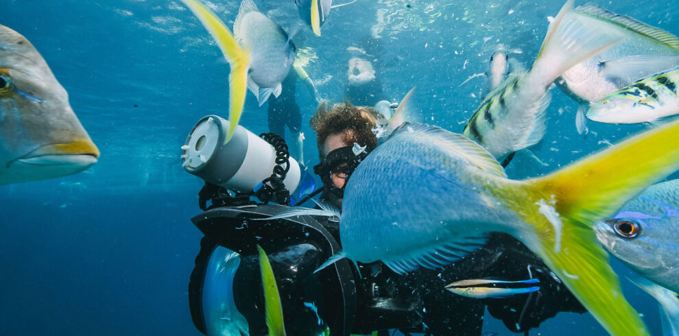 Musandam-scuba-diving