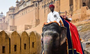 An Indian man riding an elephant near Amber Fort in Jaipur, showcasing vibrant cultural heritage.