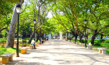 bharathi-park-puducherry