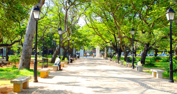 bharathi-park-puducherry