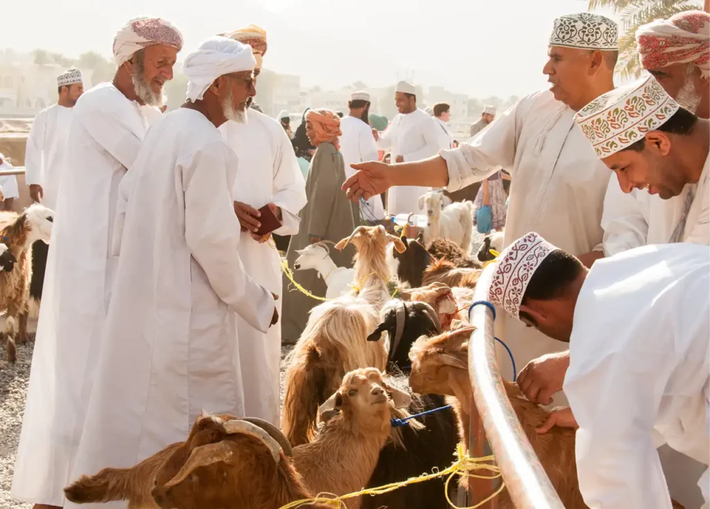 Nizwa Friday Cattle Market copy